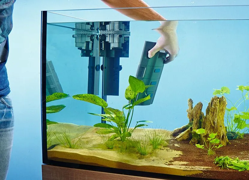 Чистка аквариума своими руками: как и зачем чистить домашний аквариум