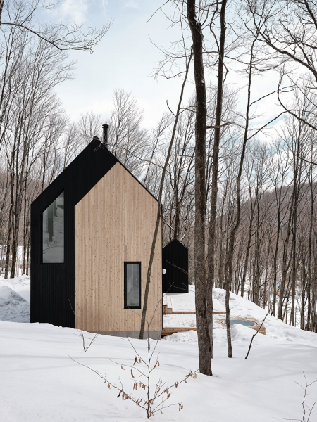 Стильный домик в лесу со светлыми современными интерьерами